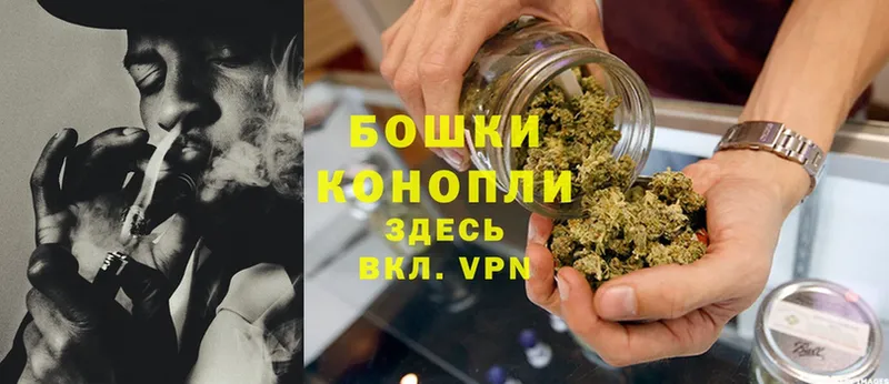 Шишки марихуана THC 21%  Никольское 